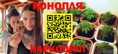 прущие грибы Балаково