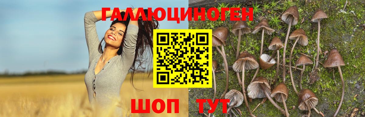 Псилоцибиновые грибы Magic Shrooms  Псилоцибиновые грибы мицелий  Ейск  Вход с VPN 